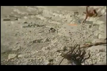 Video amatoriale di scopata sulla spiaggia esibizionista porca sexy #3