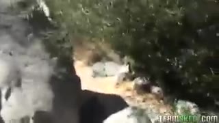 La bionda Casi James succhia e fotte cazzi all'aperto senza nessun pudore #3