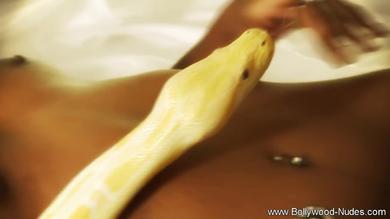 Indiana buddista oliata gode con il serpente che striscia  #4