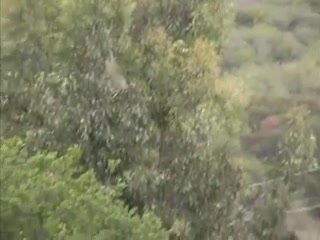 Pioggia della figa dorata scene di donne che inondano eccitante #20