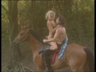 Una coppia arrapante si mette a chiavare su un cavallo